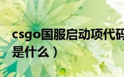 csgo国服启动项代码（csgo国服启动项代码是什么）