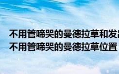 不用管啼哭的曼德拉草和发出拼图线索（哈利波特魔法觉醒不用管啼哭的曼德拉草位置 快吧手游）