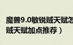 魔兽9.0敏锐贼天赋怎么点（魔兽世界9.0敏锐贼天赋加点推荐）