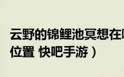 云野的锦鲤池冥想在哪里（云野的锦鲤池冥想位置 快吧手游）