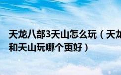 天龙八部3天山怎么玩（天龙八部3天山如何 天龙八部3天龙和天山玩哪个更好）