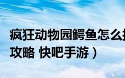 疯狂动物园鳄鱼怎么抓（疯狂动物园鳄鱼抓捕攻略 快吧手游）