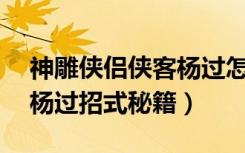 神雕侠侣侠客杨过怎么打（《新神雕侠侣2》杨过招式秘籍）