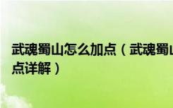 武魂蜀山怎么加点（武魂蜀山御剑加点完美解析 武魂蜀山加点详解）