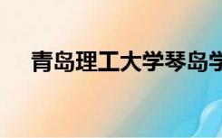 青岛理工大学琴岛学院专科分数线2019