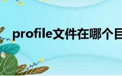 profile文件在哪个目录中（profile文件）