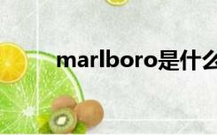 marlboro是什么烟（marlboro）