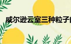 威尔逊云室三种粒子的径迹（威尔逊云室）