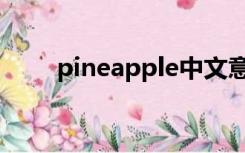 pineapple中文意思（pineapple）