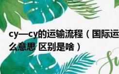 cy—cy的运输流程（国际运输中 CY CY和CY DOOR分别什么意思 区别是啥）