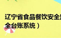 辽宁省食品餐饮安全监管系统（辽宁省食品安全台账系统）