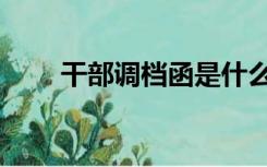 干部调档函是什么（调档函是什么）