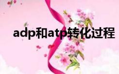 adp和atp转化过程（atp adp转化方程）