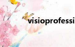 visioprofessional2013密钥