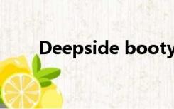 Deepside bootymusicDJViper版