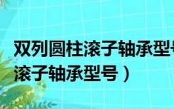 双列圆柱滚子轴承型号查询尺寸表（双列圆柱滚子轴承型号）