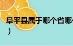 阜平县属于哪个省哪个市（富平县属于哪个市）