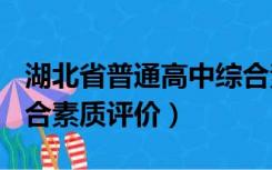 湖北省普通高中综合素质评价(新)（湖北省综合素质评价）