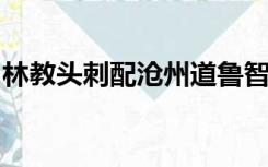 林教头刺配沧州道鲁智深大闹野猪林思维导图