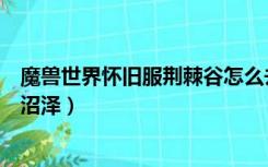 魔兽世界怀旧服荆棘谷怎么去悲伤沼泽（荆棘谷怎么去悲伤沼泽）