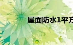 屋面防水1平方米平均多少钱