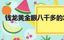 钱龙黄金眼八千多的怎么样（钱龙黄金眼）