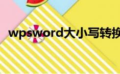 wpsword大小写转换（word大小写转换）