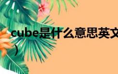 cube是什么意思英文翻译（cube是什么意思）