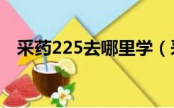 采药225去哪里学（采药225以后去哪学）