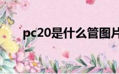 pc20是什么管图片（pc20是什么管）