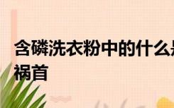 含磷洗衣粉中的什么是造成水体营养化的罪魁祸首