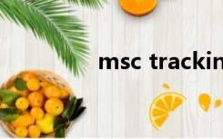 msc tracking container