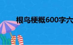 根鸟梗概600字六年级（根鸟 梗概）