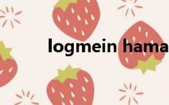 logmein hamachi是干什么用的