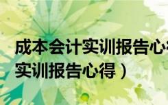 成本会计实训报告心得体会500字（成本会计实训报告心得）