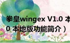 拳皇wingex V1.0 本地版（拳皇wingex V1.0 本地版功能简介）