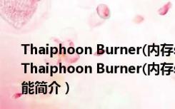 Thaiphoon Burner(内存spd修改工具) V7.1.1.0 绿色版（Thaiphoon Burner(内存spd修改工具) V7.1.1.0 绿色版功能简介）