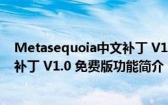 Metasequoia中文补丁 V1.0 免费版（Metasequoia中文补丁 V1.0 免费版功能简介）