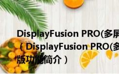 DisplayFusion PRO(多屏幕管理软件) V9.0.0 绿色破解版（DisplayFusion PRO(多屏幕管理软件) V9.0.0 绿色破解版功能简介）