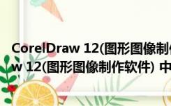 CorelDraw 12(图形图像制作软件) 中文绿色版（CorelDraw 12(图形图像制作软件) 中文绿色版功能简介）