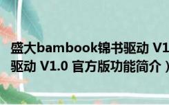 盛大bambook锦书驱动 V1.0 官方版（盛大bambook锦书驱动 V1.0 官方版功能简介）