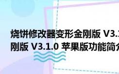 烧饼修改器变形金刚版 V3.1.0 苹果版（烧饼修改器变形金刚版 V3.1.0 苹果版功能简介）