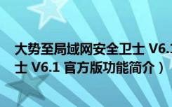 大势至局域网安全卫士 V6.1 官方版（大势至局域网安全卫士 V6.1 官方版功能简介）