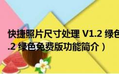 快捷照片尺寸处理 V1.2 绿色免费版（快捷照片尺寸处理 V1.2 绿色免费版功能简介）