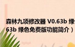 森林九项修改器 V0.63b 绿色免费版（森林九项修改器 V0.63b 绿色免费版功能简介）