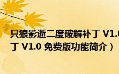 只狼影逝二度破解补丁 V1.0 免费版（只狼影逝二度破解补丁 V1.0 免费版功能简介）