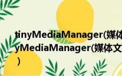 tinyMediaManager(媒体文件管理) V2.9.13 绿色版（tinyMediaManager(媒体文件管理) V2.9.13 绿色版功能简介）