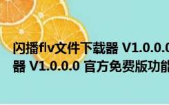 闪播flv文件下载器 V1.0.0.0 官方免费版（闪播flv文件下载器 V1.0.0.0 官方免费版功能简介）