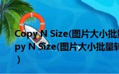 Copy N Size(图片大小批量转换器) V4.6 绿色免费版（Copy N Size(图片大小批量转换器) V4.6 绿色免费版功能简介）