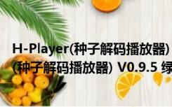 H-Player(种子解码播放器) V0.9.5 绿色最新版（H-Player(种子解码播放器) V0.9.5 绿色最新版功能简介）